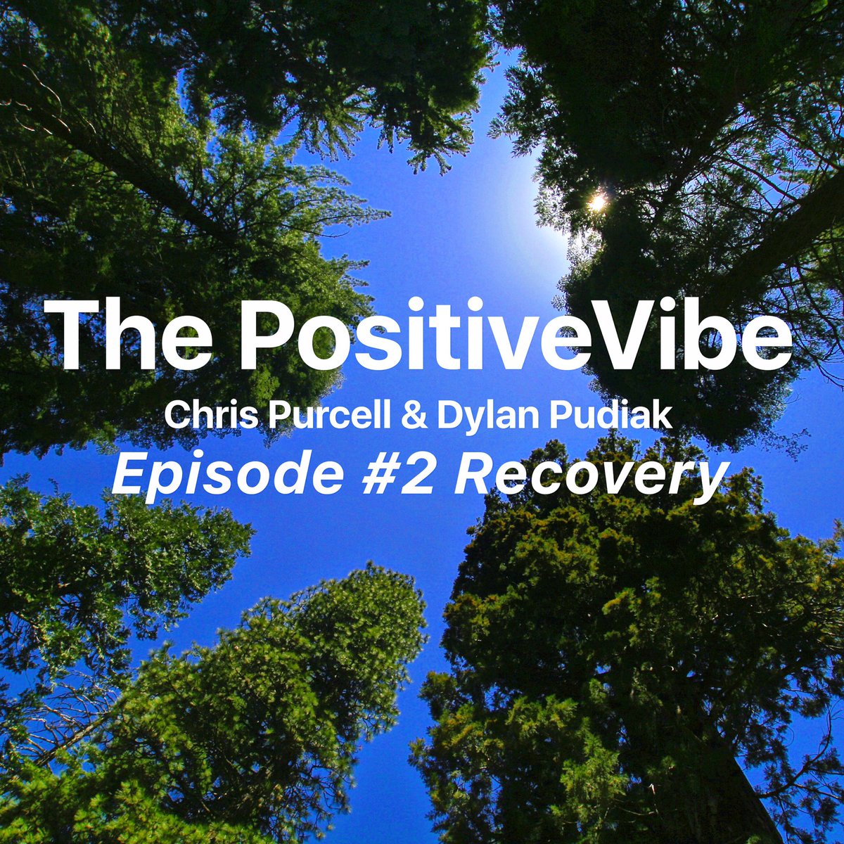 dpuddy's tweet image. Episode #2 on iTunes! Chris and I talk recovery with research from @foundmyfitness to back it up!