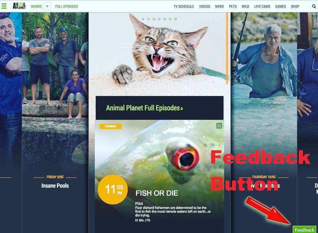 MOTIV FISHING tweet media