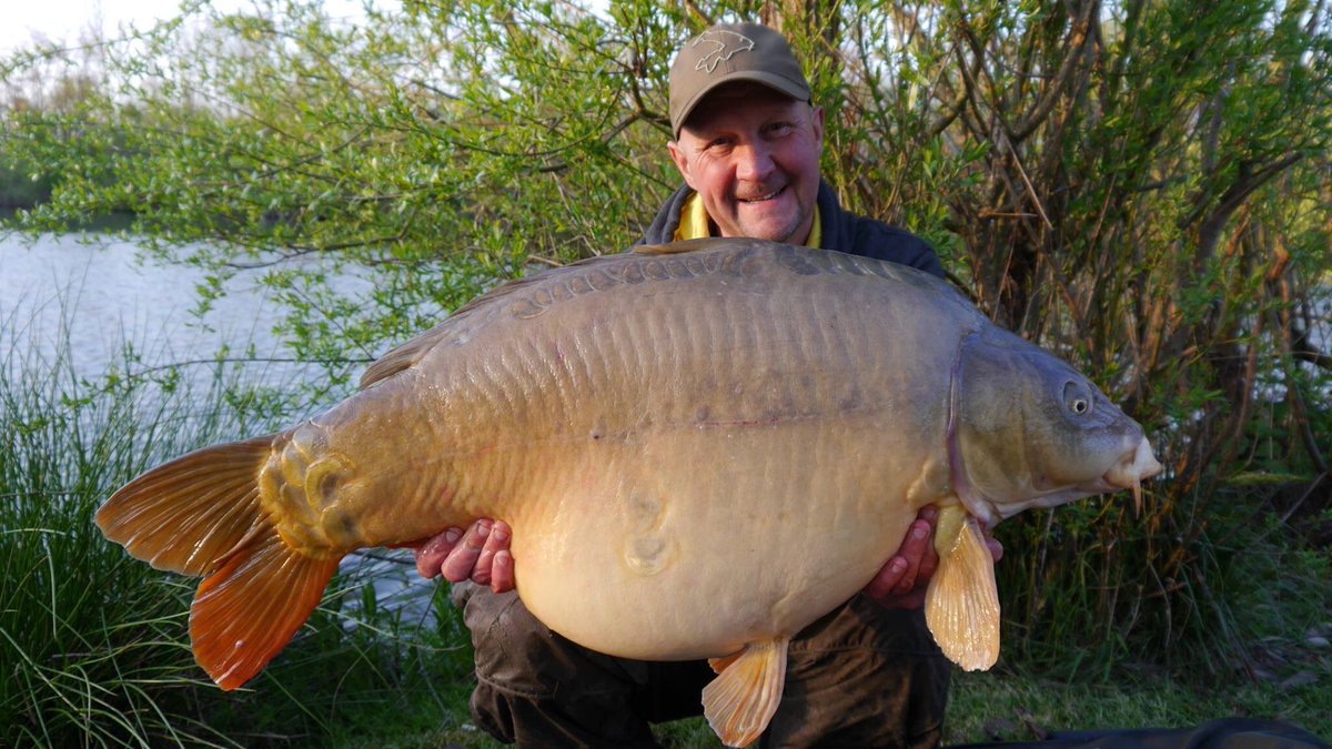 carpedorfishing's tweet photo. BOOOOOOOOOOM
Ian Russell on Desire 1 with a fifty pounder this morning https://t.co/e4n3sSlEN3