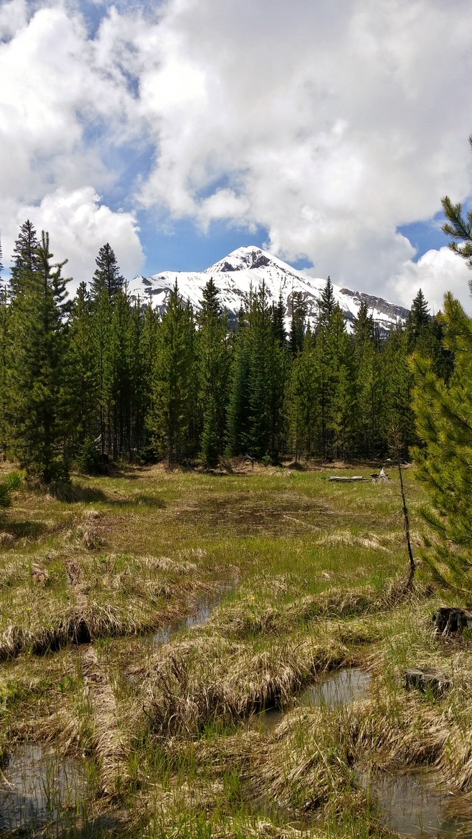 Brad Bauer tweet media