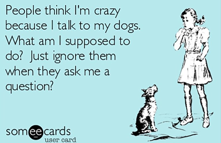 VailDailyDogs's tweet image. #CRAZYDOGLADY