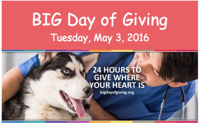 Can't adopt but want to help? Visit feedfrontstreet.com to learn more! #SacDogDays #FrontStreet