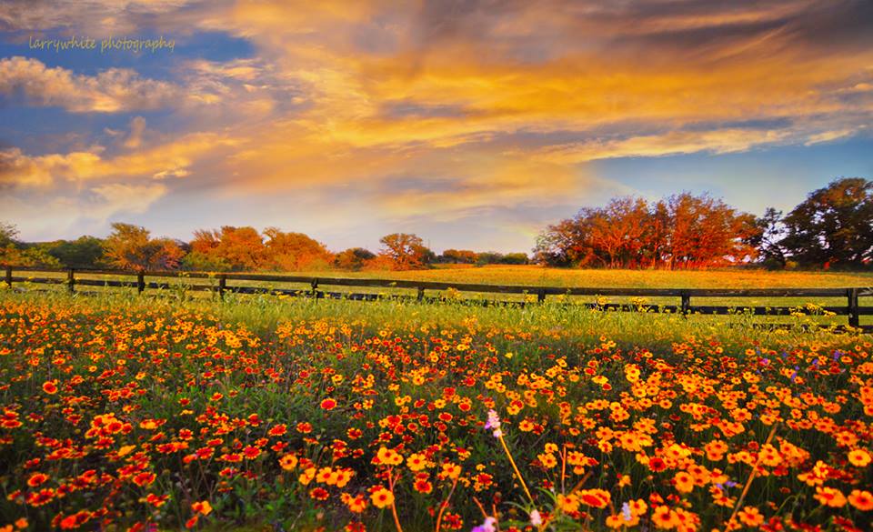 bardonthehill's tweet photo. Like Larry White Photography on Facebook &amp; his beautiful pictures will brighten your Facebook page: https://t.co/r3BO5FhQV9