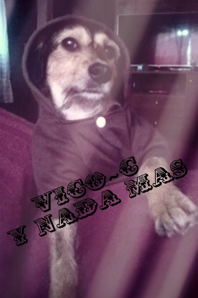 asheuber's tweet photo. CUANDO HASTA TU PERRO SABE LO QUE ES BUENO! 🐶✌ #DOGFLOW
EL CREADOR DEL GENERO! #VICOC EL PAPA DE LOS POLLITOS 🐣 https://t.co/BbrvxNoPjF