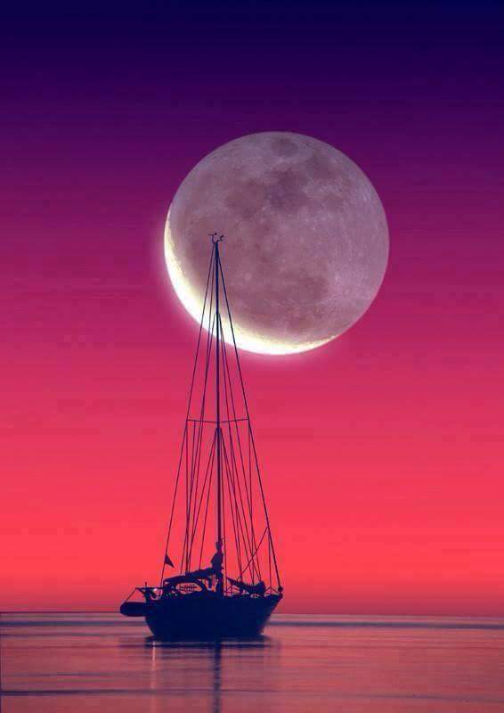 MartaFarr1's tweet photo. @RocioBasterra @ElybetCa @Isabel27cg @gatotonas @MOCarballeira @Isabelgranadina @AbaloRosa buenas noches. B https://t.co/5tnqAeXUam
