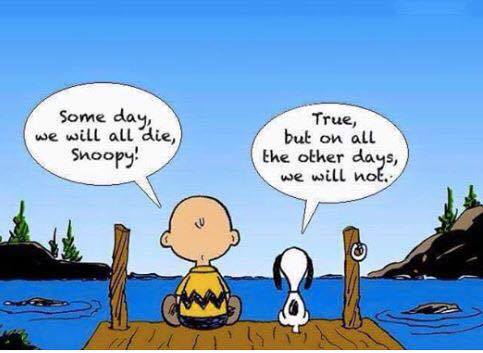 thefold's tweet photo. Silence the trolls this fine Monday. #FoldWisdom https://t.co/xEQfZG00a9