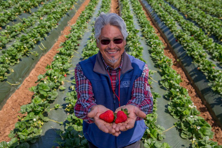 CAStrawberries's tweet photo. A look at our recent #CAfarmfresh tour - and a recipe for a killer strawberry pulled pork!: https://t.co/r5TXrqV8HB https://t.co/LlzOZAgSm8