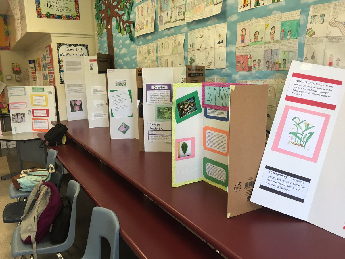 rdvprincipal's tweet photo. Our ELD class showcased their Earth Day projects last week. Great work @pcasiano3 #rioschools @riosupt https://t.co/WpfhIyvnsI