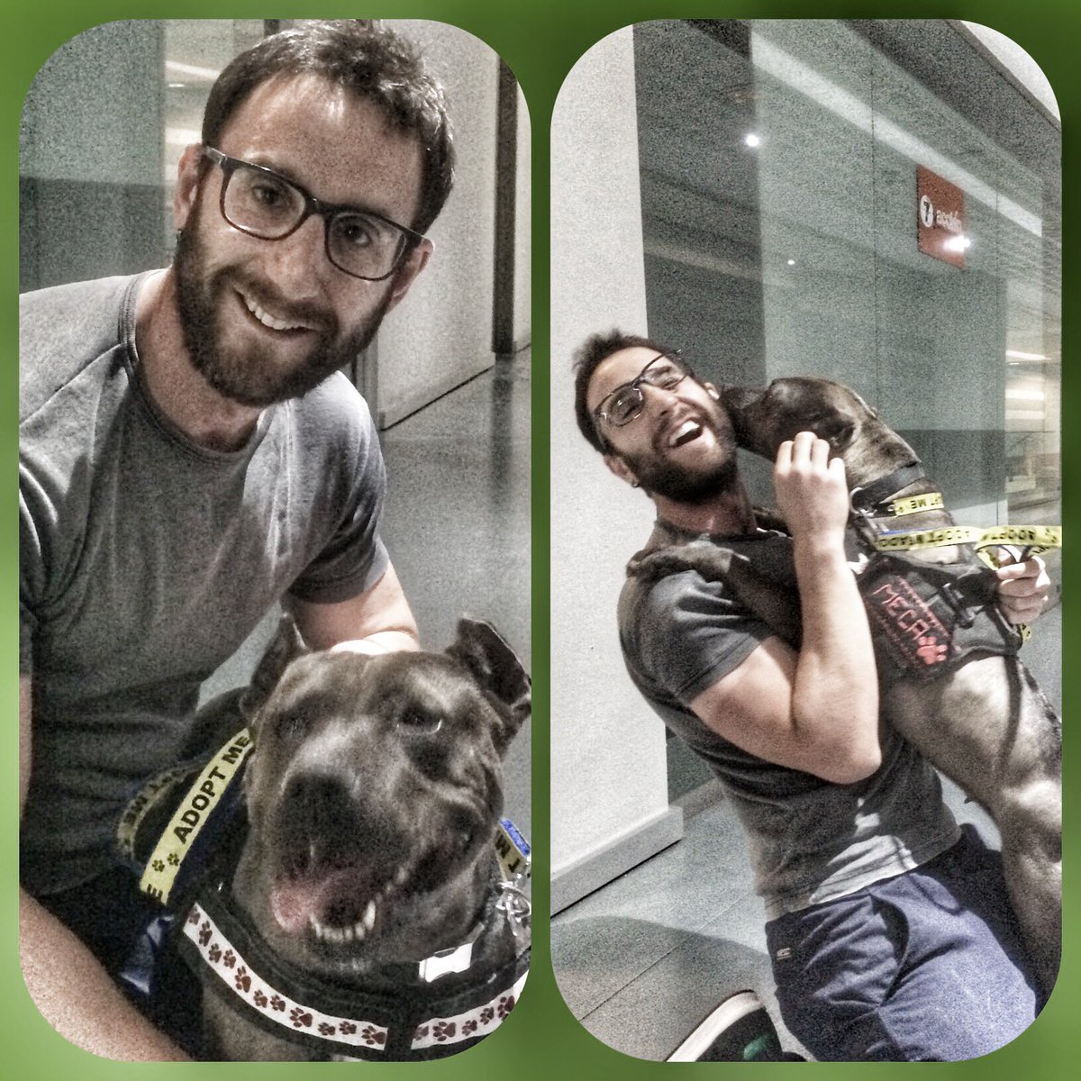 DANIROVIRA tweet picture