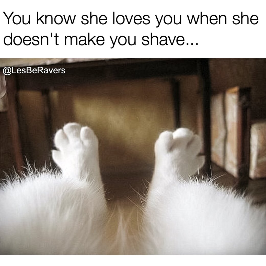 edmHumor's tweet photo. Whether it's "he" or "she"....this is how you know the love is TRUE! 😍❤️😂 #edmHumor #LesBeRavers https://t.co/ZG3MZiUvaw