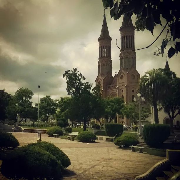 Maxi Castro tweet media