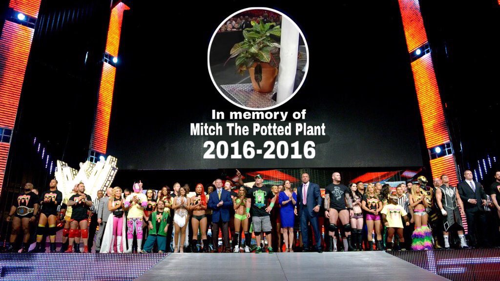 PWDirtSheet's tweet photo. I'm so broken up 😭 #RIPMitch https://t.co/jYh6wOvFhY