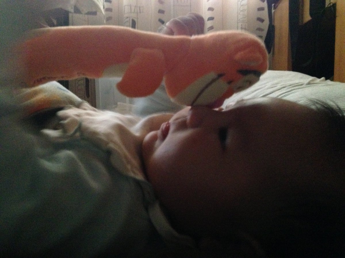 天空立法者麗莎醬 tweet media