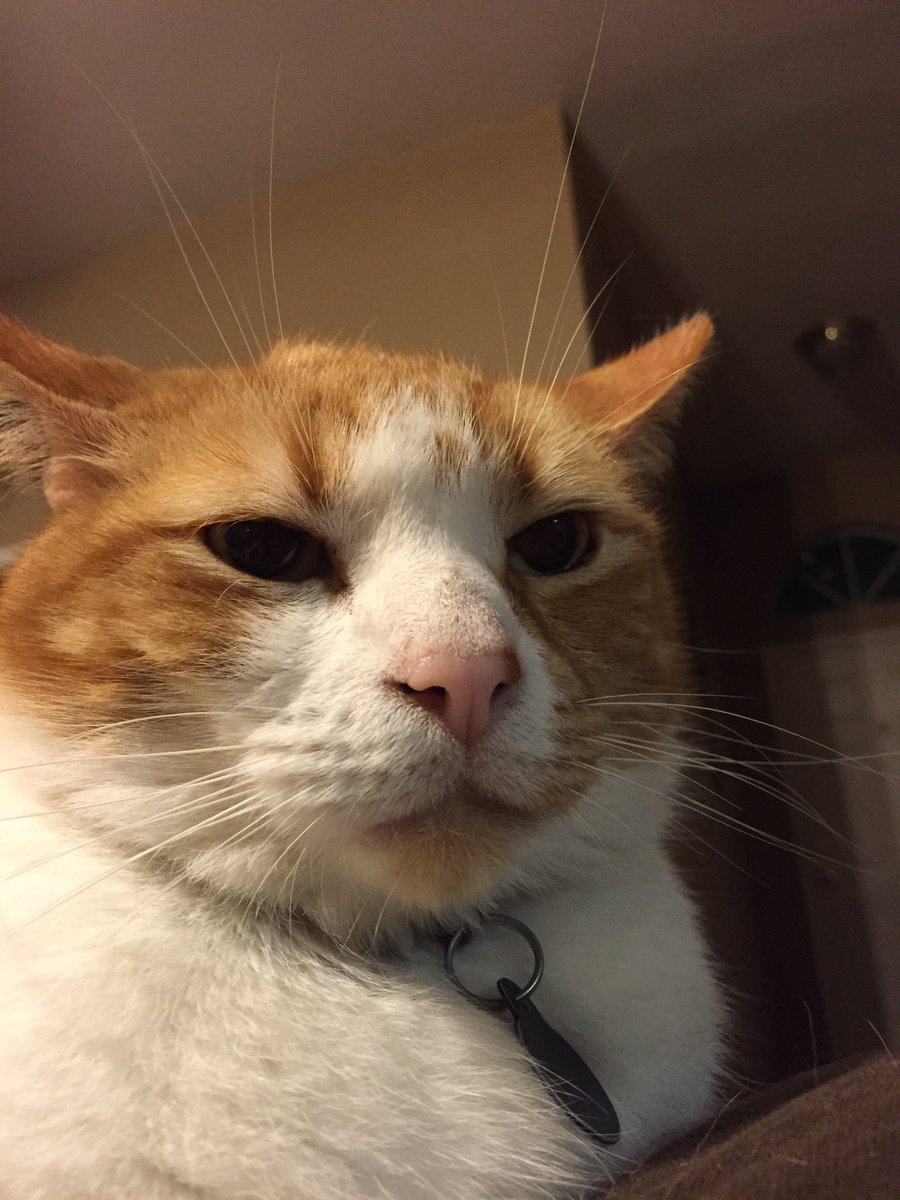 Leofatrio's tweet photo. How I feel about Mondays. https://t.co/OZzakZS6nc