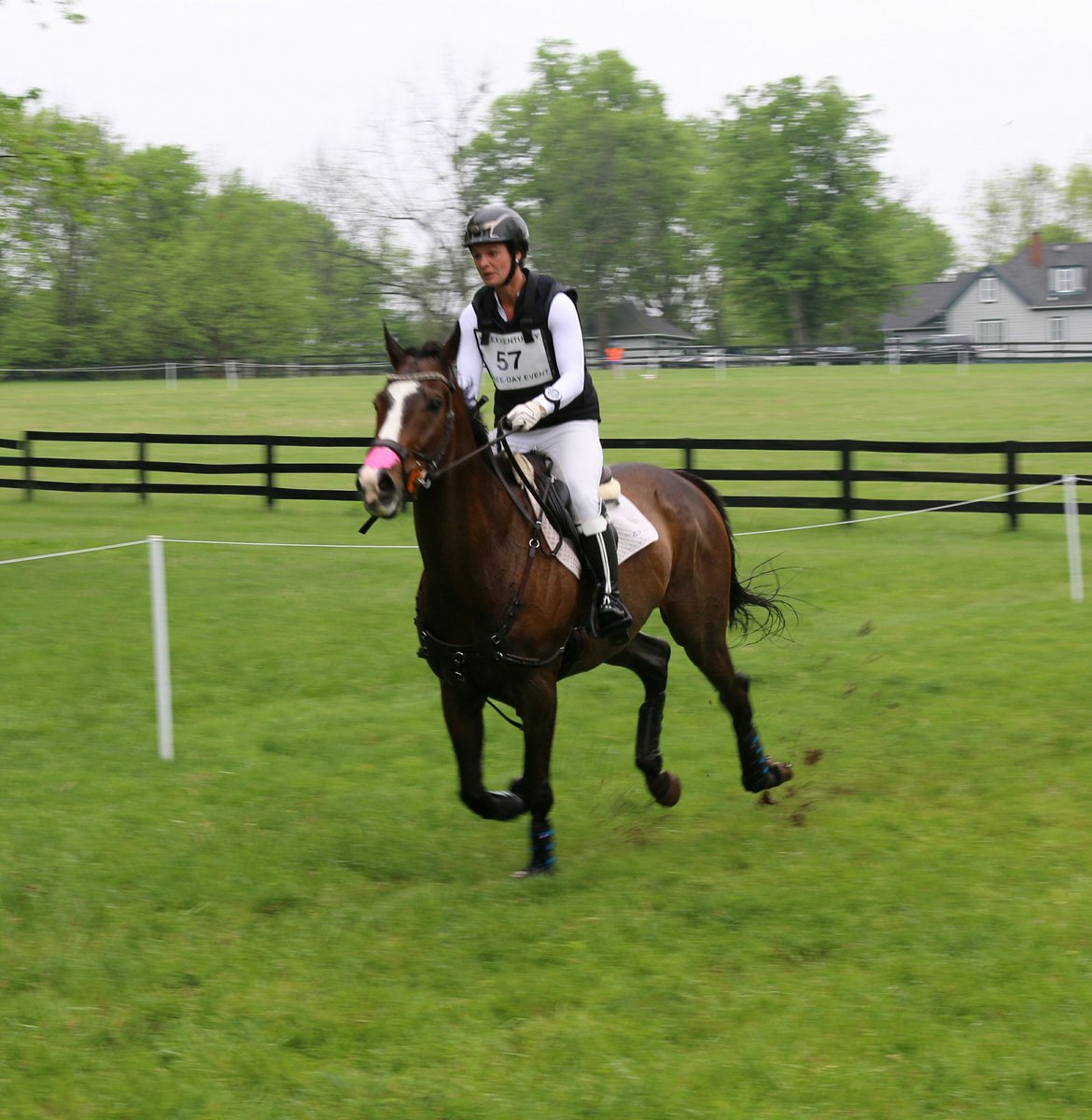 CarlaYarbro's tweet photo. Riding high! @Rolex @RolexKentucky #rolex2016 @LandRoverUSA https://t.co/JvbeLqoIzh