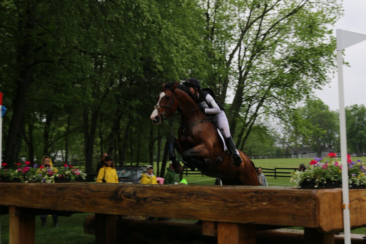 CarlaYarbro's tweet photo. Riding high! @Rolex @RolexKentucky #rolex2016 @LandRoverUSA https://t.co/JvbeLqoIzh