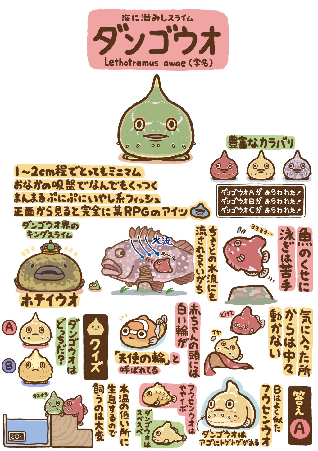 高橋のぞむ ゆるかわ古生物図鑑発売 つぶやきいきもの図鑑 ダンゴウオ T Co Pvbnt3yzg3 Twitter 高橋のぞむ ゆるかわ古生物図鑑発売 つぶやきいきもの図鑑 ダンゴウオ T Co Pvbnt3yzg3 Twitter