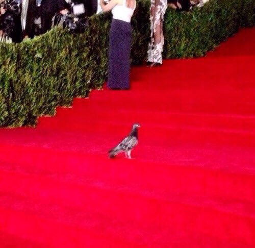 districtshields's tweet photo. Jennifer Lawrence arriving at the #MetGala in a custom made Christian Dior gown designed to look like a Mockingjay https://t.co/64Geewd5vh