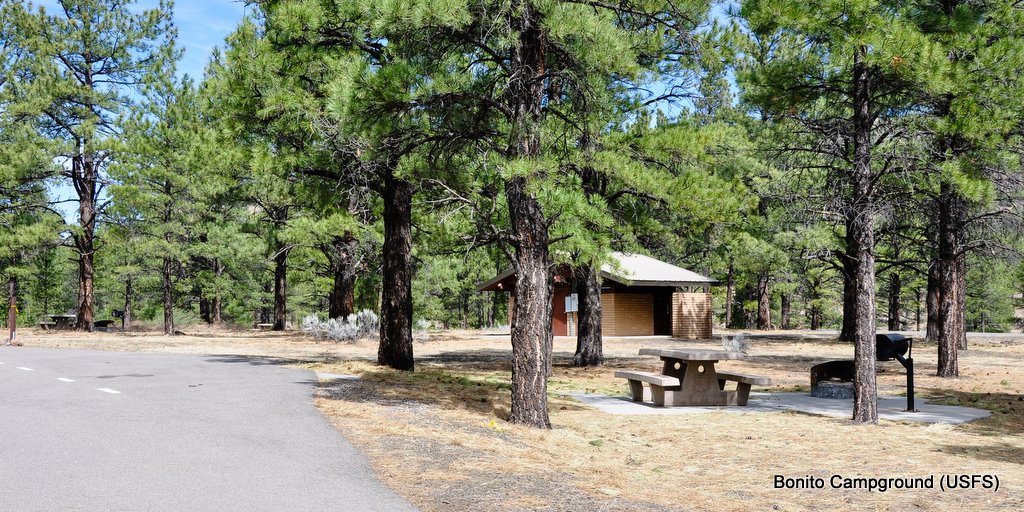 CoconinoNF's tweet image. ⛺ #Flagstaff campgrounds open today! (Except Lockett Meadow, which opens May 13) tinyurl.com/flagstaffrec