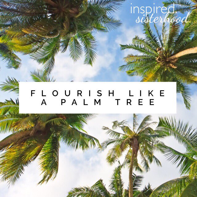 KathiPitts's tweet photo. #flourishBIG #planted #rootsdeep #inspiredsisterhood
The righteous will flourish like a palm tree...Ps. 92:12 https://t.co/Cw1nAkSWkK