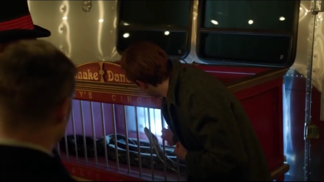 TheCircusSnake's tweet image. ✖️sʜᴇʙᴀ ᴛʜᴇ sɴᴀᴋᴇ 
✖️ʟᴏᴏᴋɪɴɢ ғᴏʀ ᴊᴇʀᴏᴍᴇ ᴀɴᴅ ʟɪʟᴀ 
✖️ɴᴏᴛ ɴᴇᴡ ᴛᴏ ʀᴘ
✖️ ʀᴛ ᴘʟᴇᴀsᴇ?

ᔕEE Yᗩ ᗩT TᕼE ᑕIᖇᑕᑌᔕ!🎪