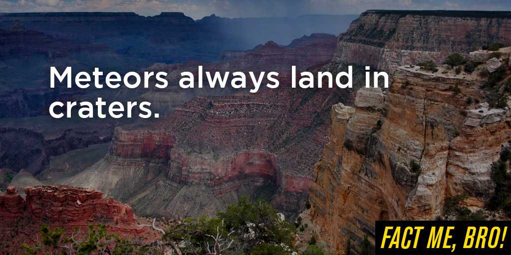 Fact Me, Bro! tweet media