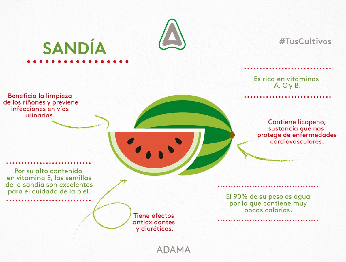 adamamexico's tweet photo. Una taza de sandía tiene sólo 46 calorías, tiene un 18% de tu valor diario de vitamina A. #TusCultivos #sandia https://t.co/HpdVp1aC8s