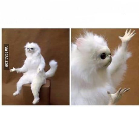jjTFinest's tweet photo. when you're a sprinter and coach Lee tells you to go with mid-distance: https://t.co/YB9WugnzA6