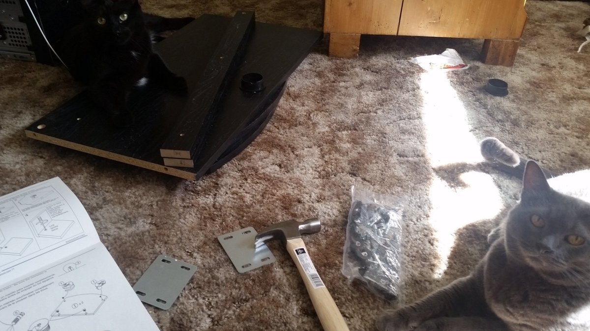 Deedlepeas's tweet photo. More updates on the office. Desk building. https://t.co/EVOnfUJhhO