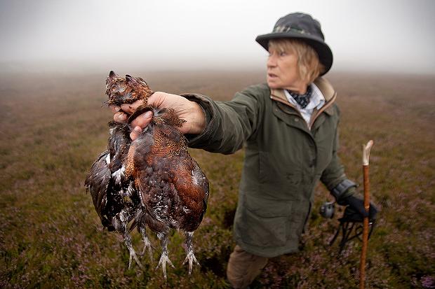ASPaton's tweet photo. Time to re-set the agenda: Less game &amp; More wildlife in Scotland @scotgov #RWP21 https://t.co/9i5S6pXbMZ