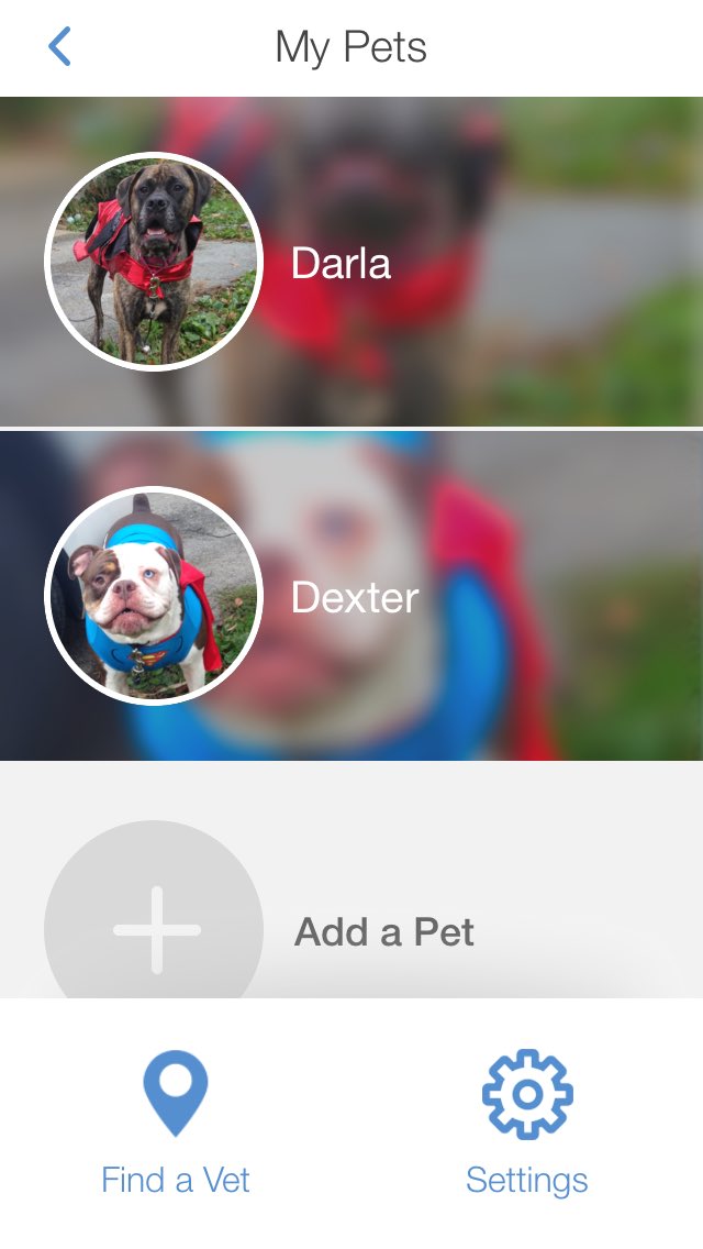 TinasTeam_586's tweet photo. Darla and Dexter are all signed up on the new #askPETMD app! https://t.co/uCyV27ZvWM
