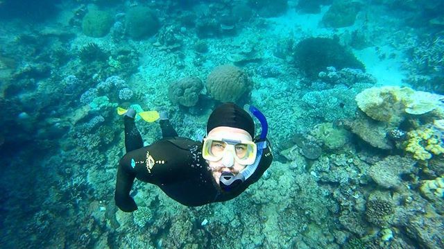 SeaLifeProject's tweet photo. #snorkeling #queensland #portdouglas #opalreef #greatbarrierreef #mask4mask #coral #stinge… https://t.co/kgq9afjfxH https://t.co/lAmwKrsJUS