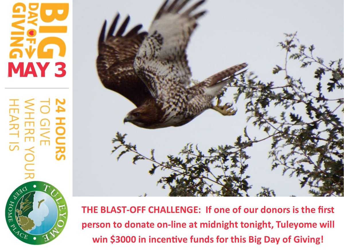 tuleyomeorg's tweet photo. The Blast Off Challenge happens tonight. Go to: https://t.co/FCQXcqOlTF  #DonateToRestore #BIGDoG2016 https://t.co/SC8NG1S99N