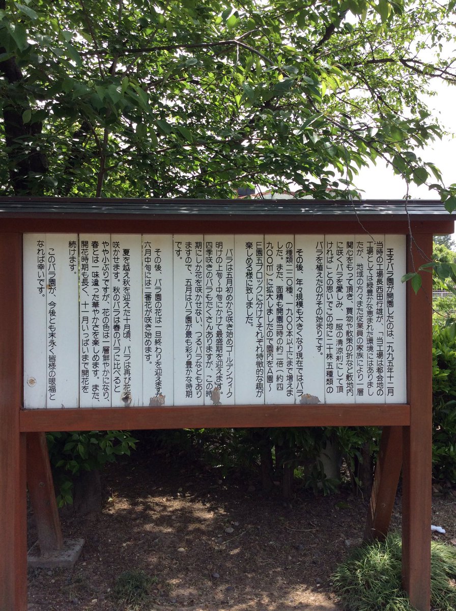 panda10261026 tweet picture