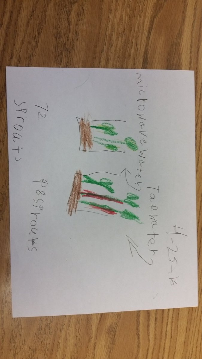 greenway_ashley's tweet photo. #plantlife #needsofplants https://t.co/b5Eb7PDG58