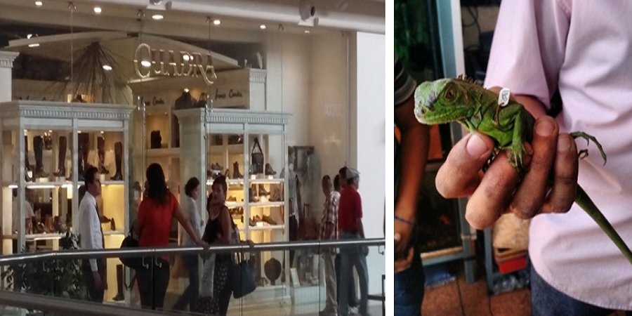 MUPRA_Mexico's tweet photo. #ElUniversoPeletero – #Morelia: confiscan a #BotasCuadra 674 #productos de #pieles #animales➝https://t.co/4g6n0yHttJ https://t.co/todVDtpznb