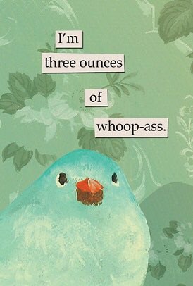 Crew Life tweet media