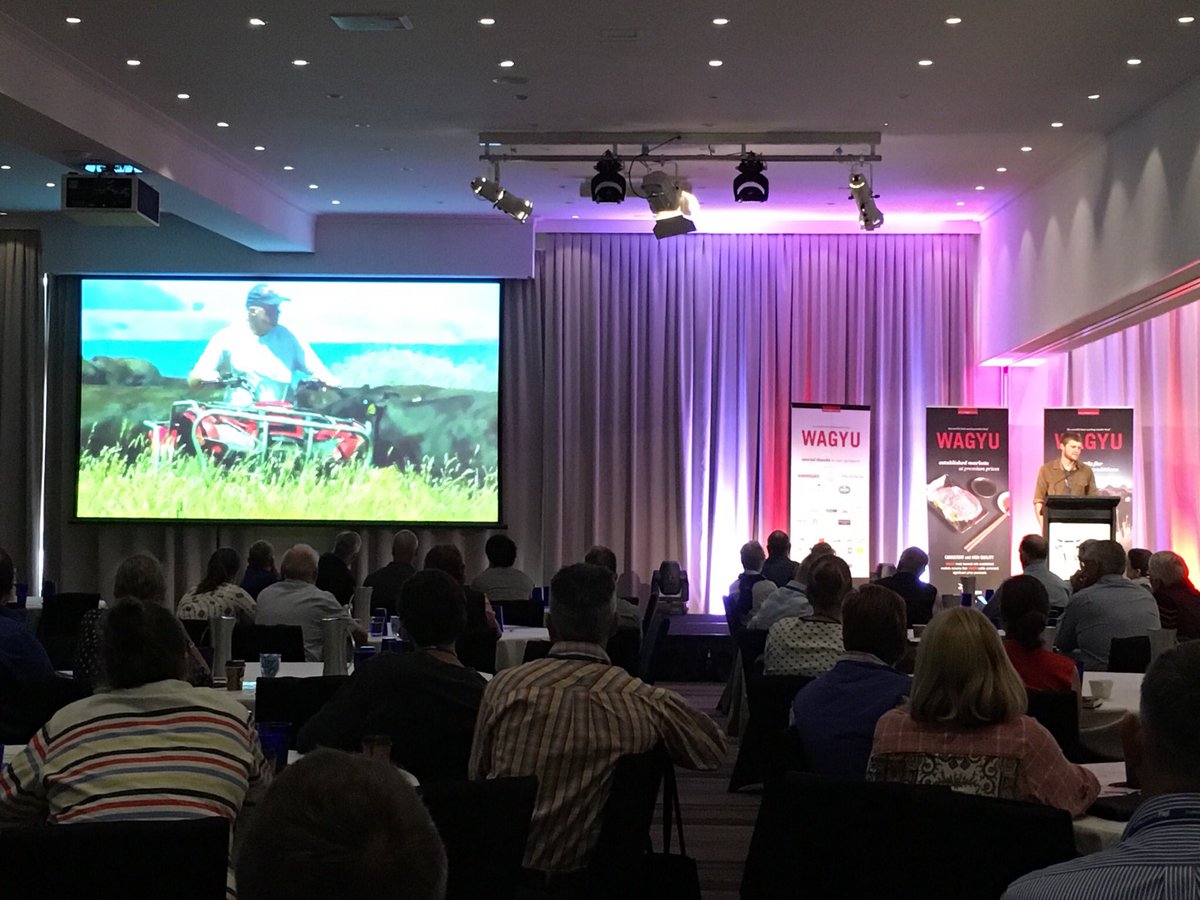 Alex Hammond from <a href="/robbinsisland/">Wagyu</a> on #polled #Wagyu and the benefits seen in herd #wagyurevolution