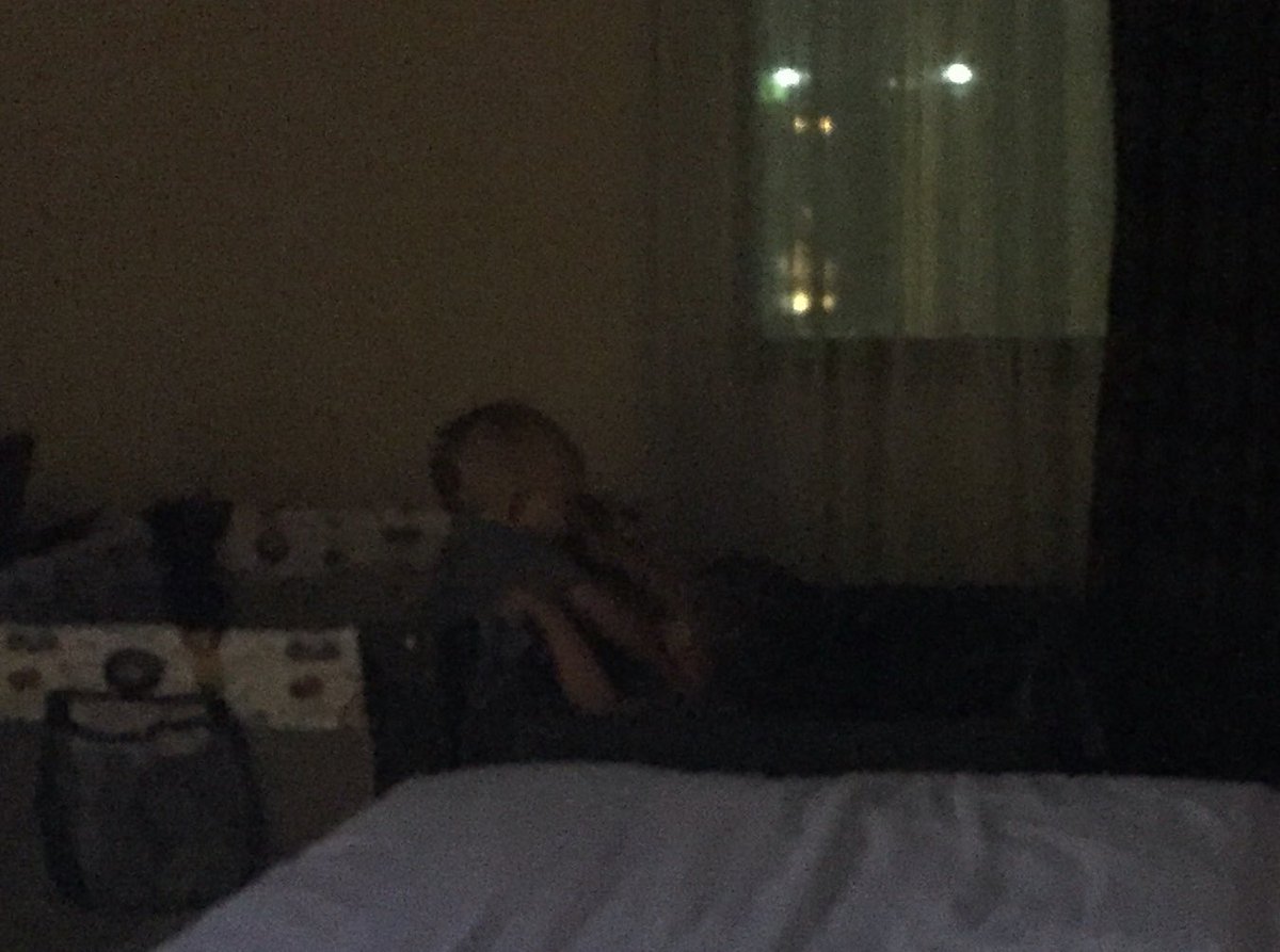 StormToddlers's tweet photo. Bedtime for these 2 means it's time to pass their stuffed animals &amp; blankets back and forth gleefully #bestfriends https://t.co/4uqRfYVO3E