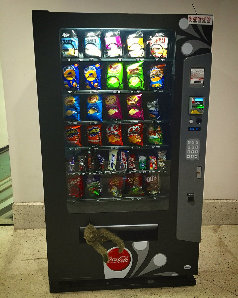 1uglybear's tweet photo. #Uglybear hunting for snacks!🐻 https://t.co/FpbmO2egmh