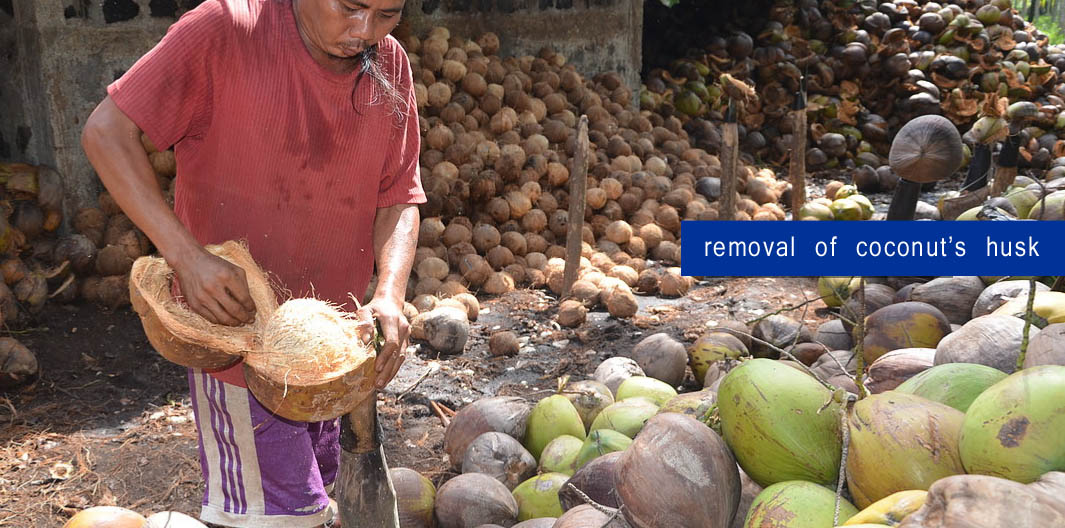 Bonafidas's tweet photo. Indonesian traditional farmer remove coconut husk
#coconutsugar #coconutoil #coconutfactory #traditionalfarmer https://t.co/vKzOVI8zaA