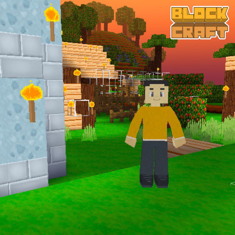 robocode1's tweet image. #blockcraft itunes.apple.com/us/app/block-c…