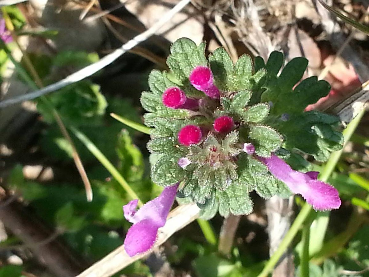 #좋은시 #풀

풀이 눕는다
바람보다도 더 빨리 눕는다
바람보다도 더 빨리 울고
바람보다 먼저 일어난다​ 

- 시인 김수영