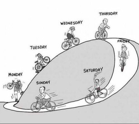 Ride_Velo's tweet image. Behind every hill there's a downhill 🚴🏽💨