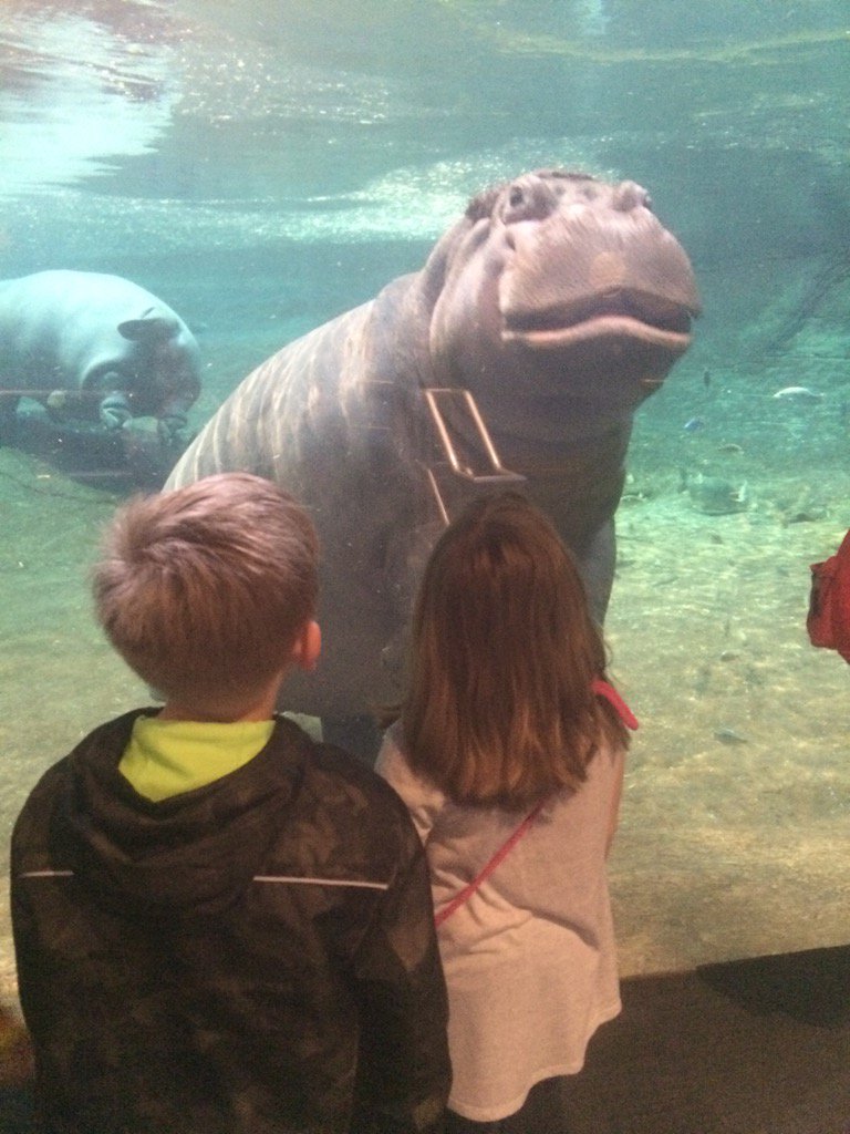 We were in awe @ Camden Adventure Aquarium! One student said, "We will never forget this day!"#tatemtigerpride