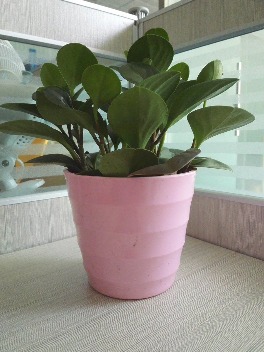 ellenchen123 tweet picture