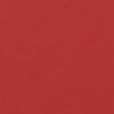 SydneyTroi's tweet photo. #MONOTONEMONDAY #BURNTRED https://t.co/zjNFYOc6js