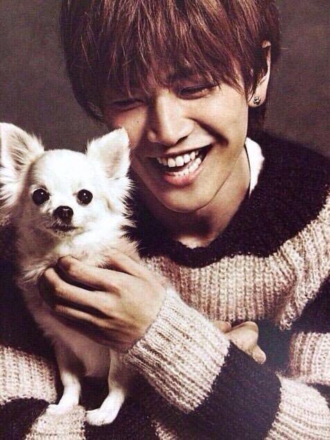 love_3jsb_H's tweet photo. 犬に負けないぐらい犬だわほんと https://t.co/52FdjiwwbT