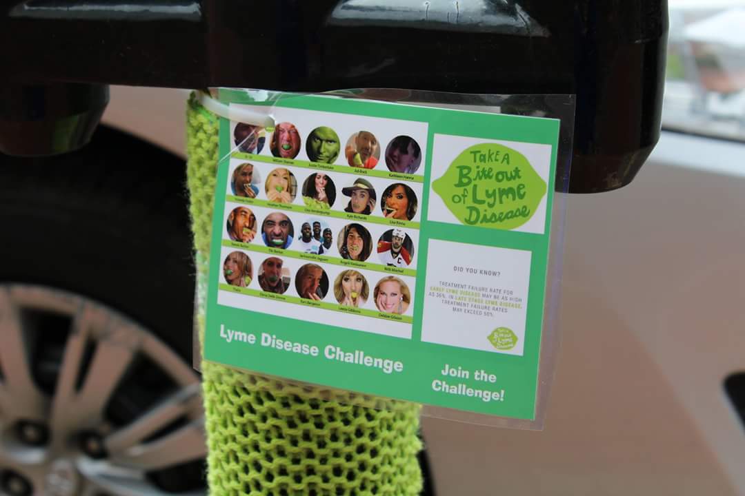 LymeYarns's tweet photo. @InvisiblyLymeMT @ErinAndrews @De11eDonne @HuttoCox @CityofNewarkDE #LymeDiseaseChallenge #Delaware #Bluehens #LDC2 https://t.co/0j0jeIdMZS