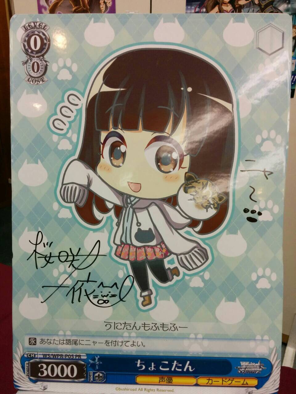 WS PR ちょこたん WS PR ちょこたん